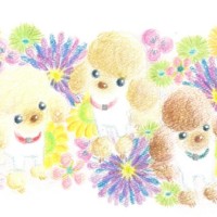 プープープー(2Lサイズ)